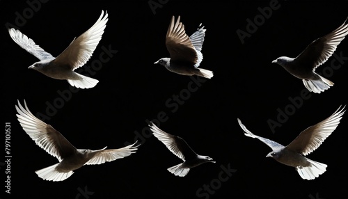 set of black flying bird silhouettes on transparent background