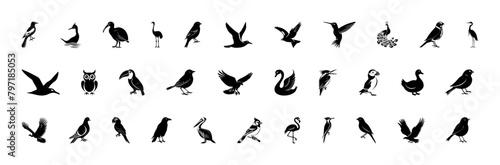 Set of black bird silhouettes. Vector elements for design. Detailed bird black silhouettes of different kinds. Sparrow, Eagle, Robin, Hawk, Owl, Duck, Swan, Pigeon, Parrot, Crow, Seagull, Falcon