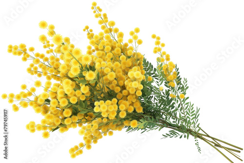 bouquet of yellow flowers mimosa transparent background PNG