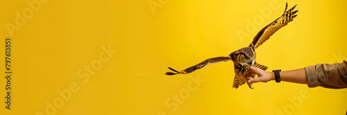 Wildlife rescue volunteer web banner. Volunteer releasing rehabilitated owl on yellow background with copy space.