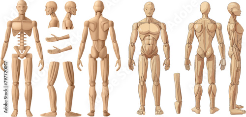 Wooden manikin. Wood man human anatomy statue, handmade puppet toys men figure mannequin doll with hands