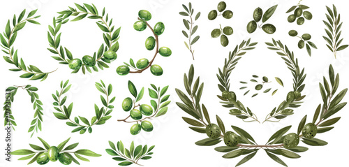 Olives branches and olive crown. Greek olives branch and wreath set,