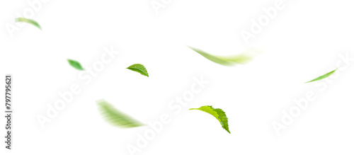 Green Floating Leaves Flying Leaves Green Leaf Dancing, Air Purifier Atmosphere Simple Main Picture.