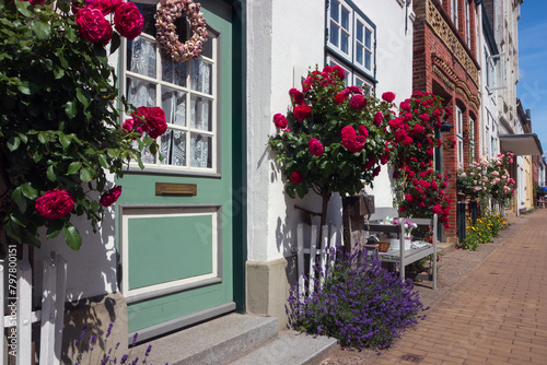 Schöne gepflegte Häuser Fassaden mit schönen Türen und roten Stockrosen in der Holländersiedlung Friedrichstadt.