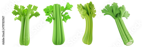 PNG celery 3d icons and objects collection, in cartoon style minimal on transparent, white background, isolate