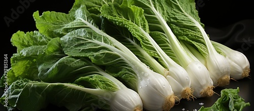 Fresh chinese cabbage on a black background, close-up.