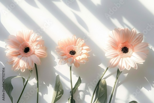 Radiant wildflowers form a beautiful, fantasy-inspired floral scene, suitable for an enchanting background wallpaper. . Beautiful simple AI generated image in 4K, unique.