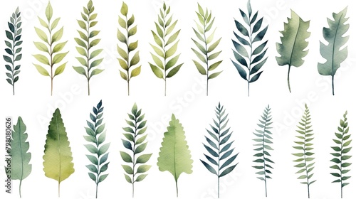 Assorted watercolor leaf illustrations depicting a variety of natural green tones and shapes