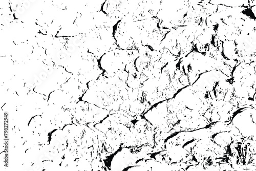 White black tree bark texture vector overlay texture. Old wood texture flat surface. Real wooden surface background bark. Top view plank.