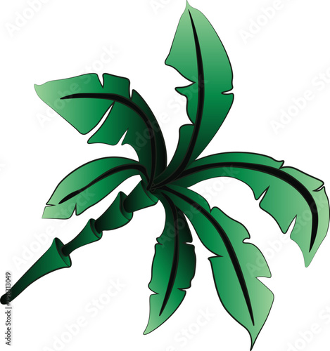 Nature, Green, Leaf, Palm Tree, vector, illustration, nature, leaf, green, decoration, design, plant, flower, floral, svg, 