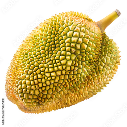  A fresh, whole jackfruit with its bumpy exterior, transparent background, PNG Cutout