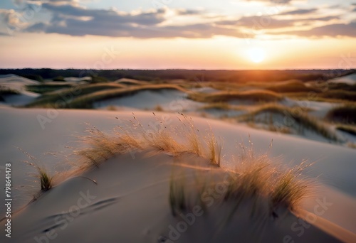 'Sunset dunes Slowinski Park National Poland Pattern Sky Beach Summer Travel Nature Grass Landscape Blue Sand Europe Yellow Plants Tourism Wilderness Horizon Geology Heat Seaside Coast'