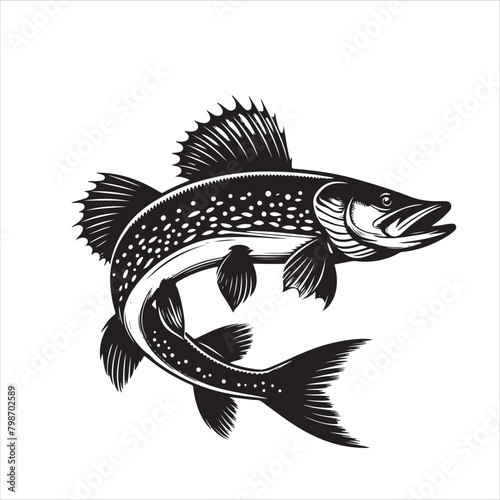 silhouette of pike fish isolated on white background 