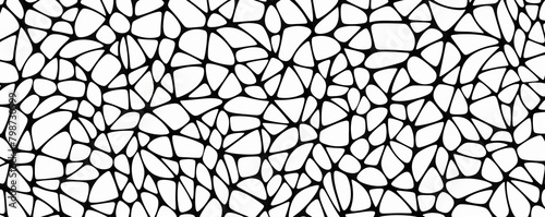 A seamless black and white organic pattern resembling a neural network