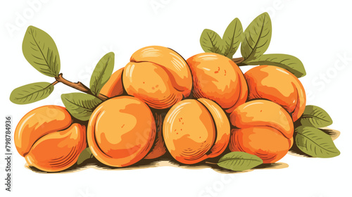 Apricots vintage drawing. Fresh ripe fruits cut hal