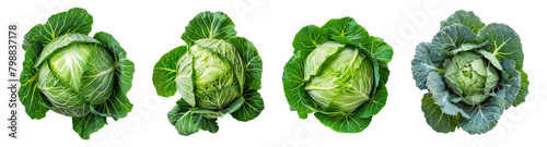 Set of cabbage isolated on transparent background