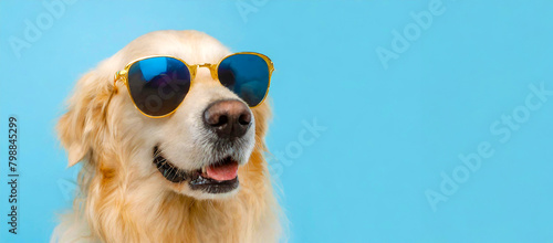 Portrait of a fashionable dog golden retriever in sunglasses isolated on a blue background. Generative AI