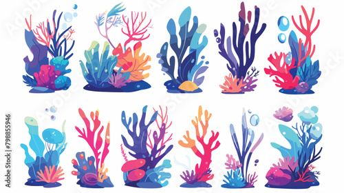 Bundle of various corals and seaweed or algae isola