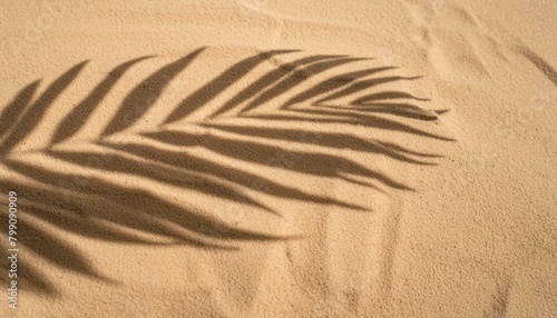 Tropical Tranquility: Top View of Palm Leaf Shadow on Sand