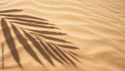 Sunny Seashore: Top View Banner of Palm Leaf Shadow on Sand