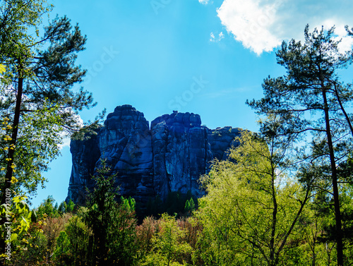 Sächsische schweiz nationalpark , landscape with trees and sky, view of the rock