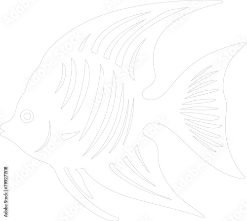 angelfish outline