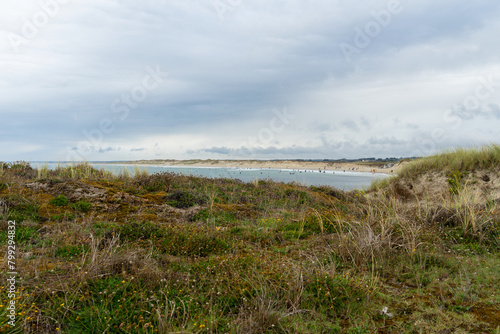 Dans l'arrière-plan d'un parterre végétal, la plage animée de la Torche en Bretagne, parsemée de baigneurs et de surfeurs évoluant dans les eaux.