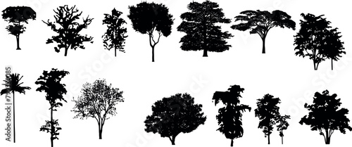silhouette tree line drawing set, Side view, set of graphics trees elements outline symbol for architecture and landscape design drawing 