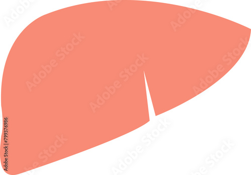 liver icon