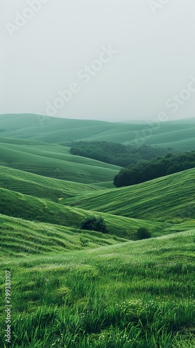 Green rolling hills under a foggy sky