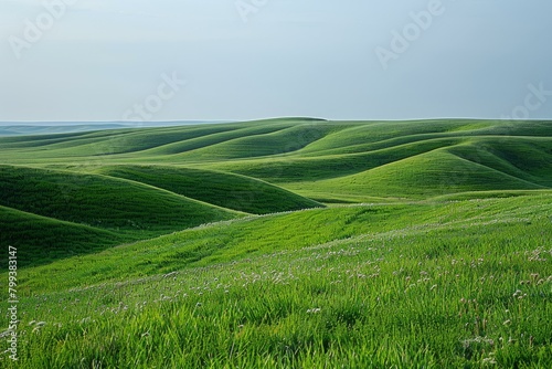Green rolling hills of the prairie