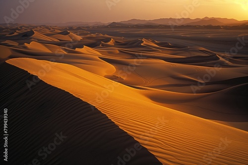 Golden sand dunes of the desert at sunset