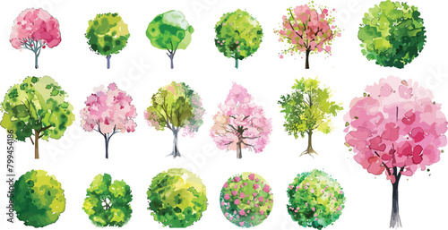 Watercolor of pink and green blooming tree top view isolated on white background for landscape plan and architecture drawing. Elements for garden , botanical plan. Vector watercolor of tree top view