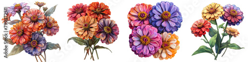 Zinnias Flowers Hyperrealistic Highly Detailed Isolated On Transparent Background Png File