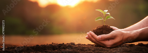 hands holding and caring soil and a green sprouting plant, growth young plant, close-up shots nature background, concept eco earth day, green world day, growing plants