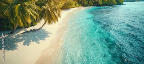Tranquil maldives island beach aerial view, tropical paradise with palm trees on white sandy shore