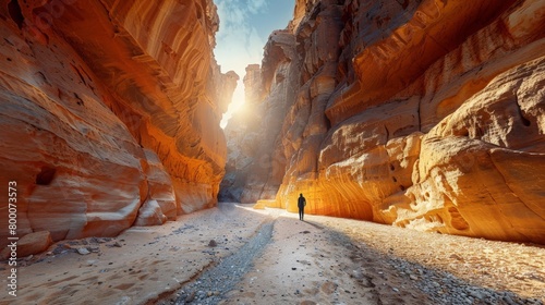 Petra Siq, narrow canyon entrance