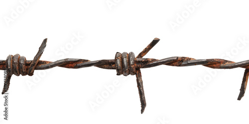 closeup of barbed wire isolated on white or transparent png