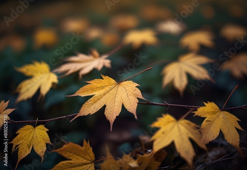 Leaves dancing in the autumn breeze, generative AI