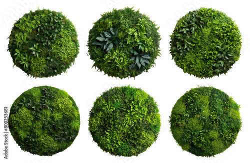 Set of round green garden wall panels from tropical plants, cut out