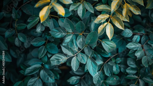 Contrasting Green and Yellow Leaves Pattern