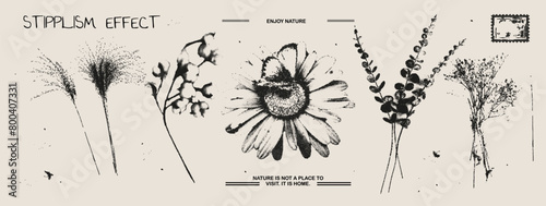 Different branches, chamomile, butterfly photocopy effect elements set with grunge stippling grain messy texture. Trendy y2k aesthetic vector illustration. Ideal for poster design, t shirt