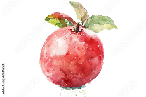 Minimalistic watercolor of a Guava on a white background, cute and comical.