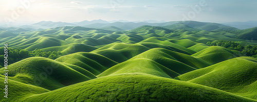 Expansive rolling hills covered in green, under clear blue skies, offer a sense of calm and space away from urban life