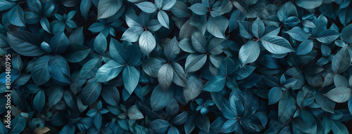 Plantas azul - Textura