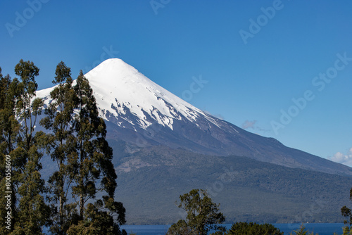 Volcán Osorno con arboles, lago y bosque en un día despejado al sur de chile