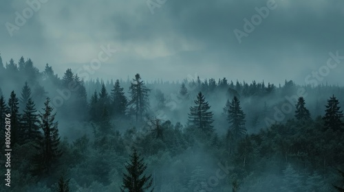 A mystic view of a forest shrouded in heavy fog, creating a dark and mysterious atmosphere