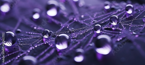 A Close-up of a Dew-Covered Spider Web with Purple Backdrop