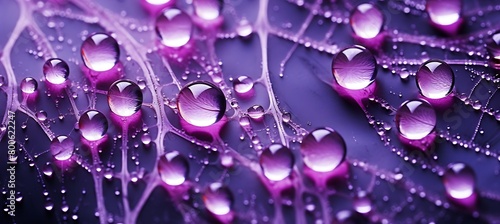 A Close-up of a Dew-Covered Spider Web with Purple Backdrop