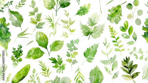 watercolor pattern, leaves, vegetables, only green, lots of white space